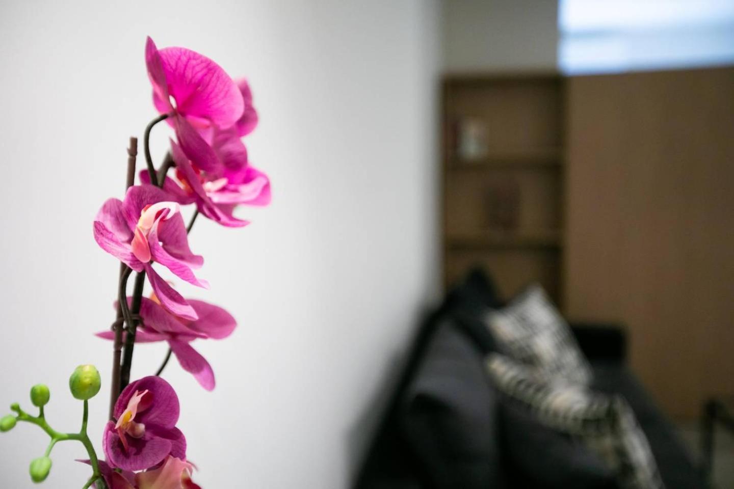 Toni'S Studio Syntagma, 1 Min From Metro Station Atenas Exterior foto